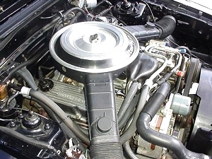 1982 FORD MUSTANG