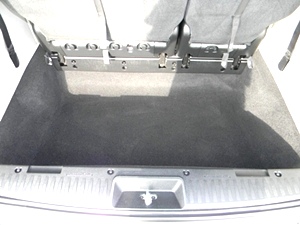 2011 DODGE GRAND CARAVAN