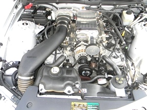 2006 FORD MUSTANG GT CONVERTIBLE