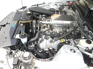 2006 FORD MUSTANG GT CONVERTIBLE