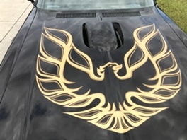 1976 Pontiac Trans AM 455